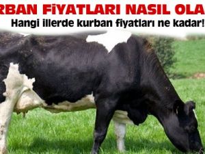 2013 Kurban fiyatları nasıl olacak?