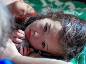 Her karenin çarpıcı bir hikayesi var