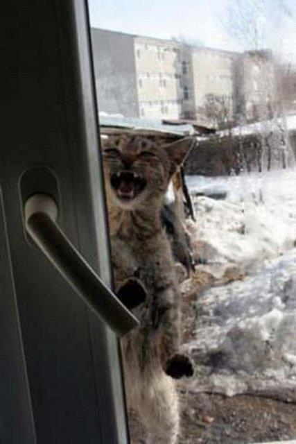 Gülmekten ağlayacaksınız 13