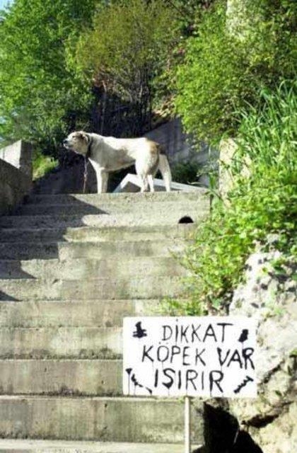 Gülmekten ağlayacaksınız 21