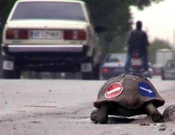 Gülmekten ağlayacaksınız 34