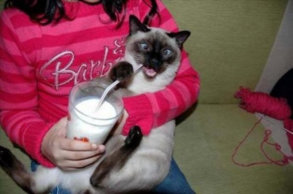 Gülmekten ağlayacaksınız 35