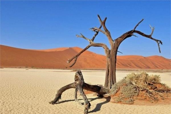 Sıradışı 18 manzaradan biri Türkiye'de 3