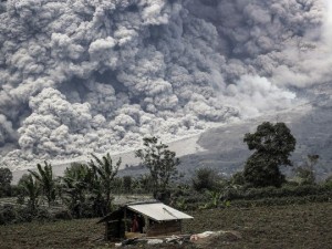 Anadolu Ajansı Gözüyle 2014