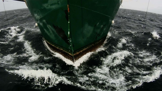 2014'ün en iyi 50 filmi 33