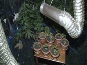 Neye niyet neye kısmet!