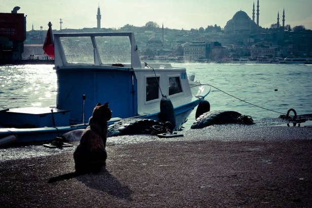 Yabancıların gözünden 'Güzel İstanbul' 17