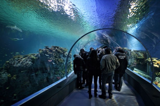 İnanılmaz akvaryum 'Mavi dünya' 17