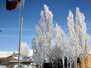 Soğuktan bayrak bile dondu