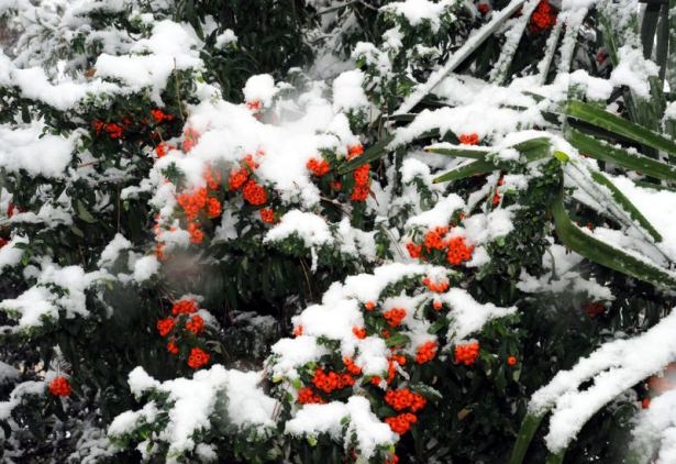 Türkiye'de hayran bırakan kar manzaraları 25