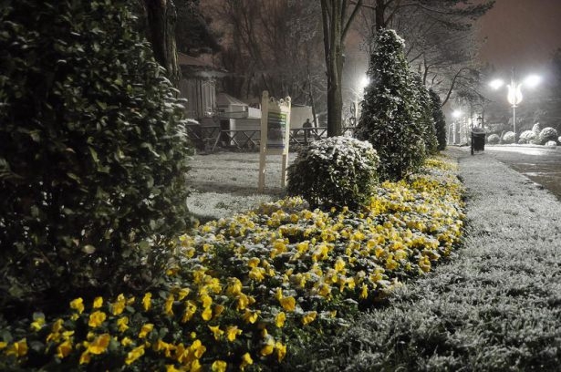 Türkiye'de hayran bırakan kar manzaraları 4