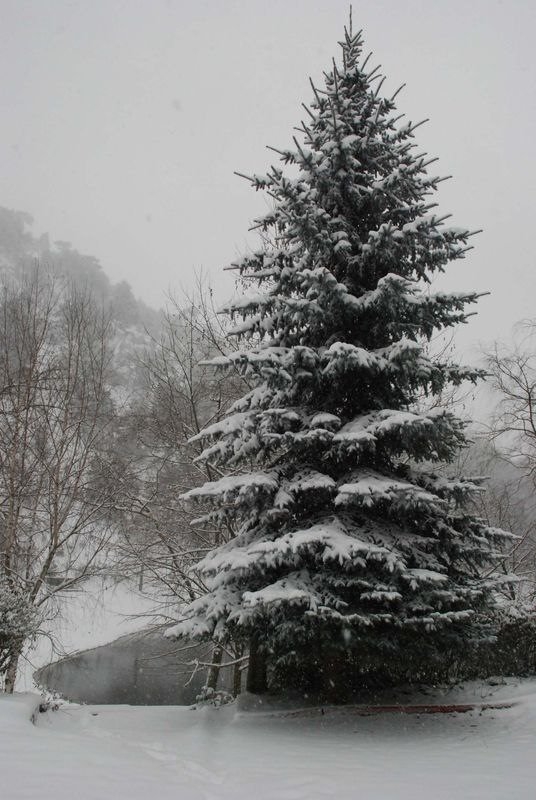 Yurttan kış manzaraları 20