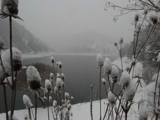 Yurttan kış manzaraları 22