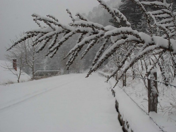 Yurttan kış manzaraları 26