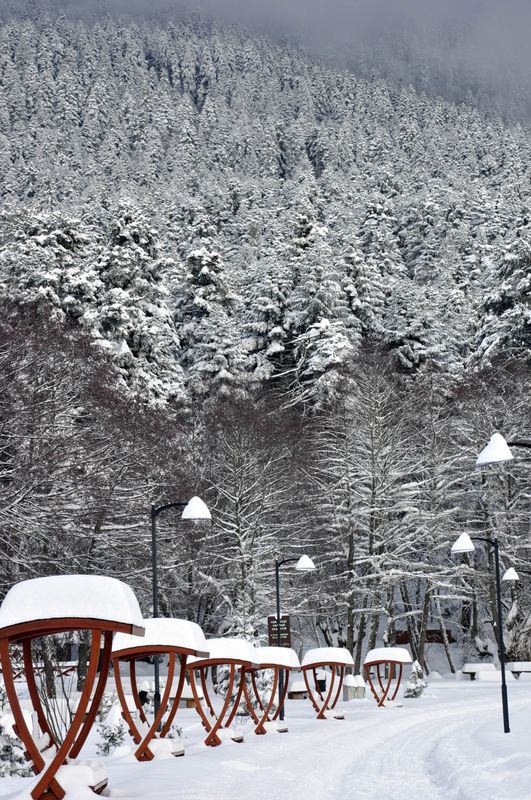 Yurttan kış manzaraları 6