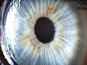 Hiç bu kadar yakından gördünüz mü?