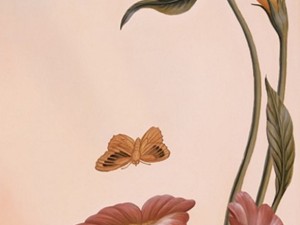 Göründüğü gibi olmayan fotoğraflar