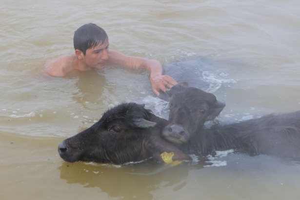 Dondurucu soğukta kaplıca keyfi 11