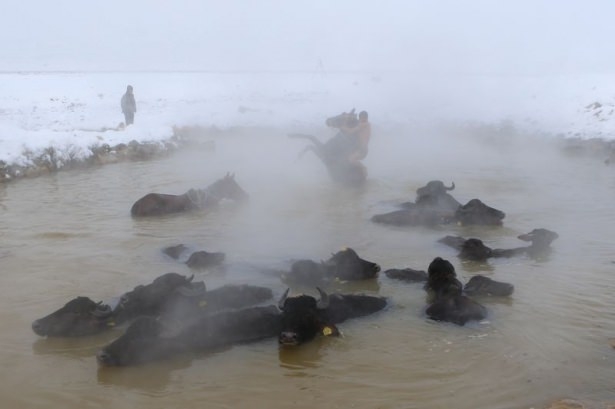 Dondurucu soğukta kaplıca keyfi 2