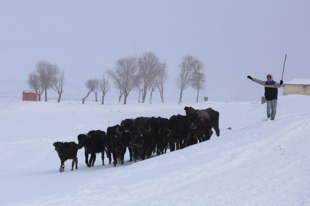 Dondurucu soğukta kaplıca keyfi 24