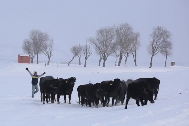 Dondurucu soğukta kaplıca keyfi 26