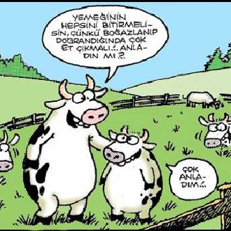 Kurbanlık karikatürler tam şenlik! 11