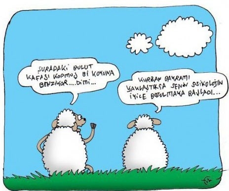 Kurbanlık karikatürler tam şenlik! 14