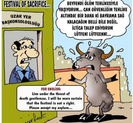 Kurbanlık karikatürler tam şenlik! 16