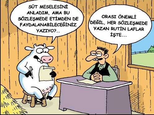 Kurbanlık karikatürler tam şenlik! 21