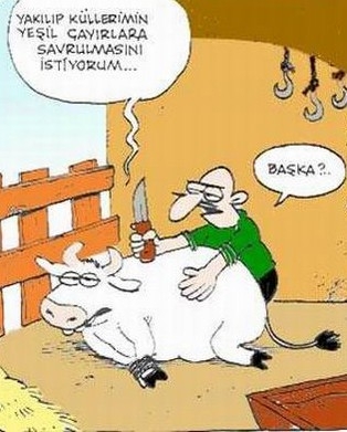 Kurbanlık karikatürler tam şenlik! 22