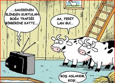 Kurbanlık karikatürler tam şenlik! 3