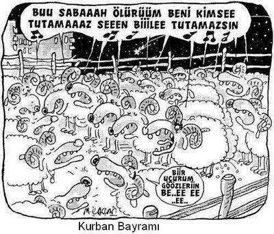 Kurbanlık karikatürler tam şenlik! 7