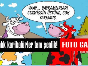 Kurbanlık karikatürler tam şenlik!