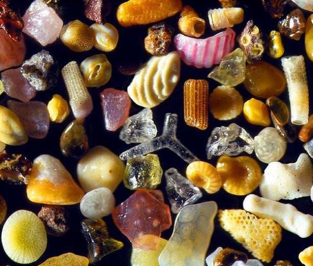 Dünya ile ilgili bilmediğiniz 50 gerçek 17