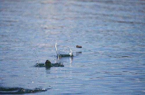 Dünya ile ilgili bilmediğiniz 50 gerçek 25