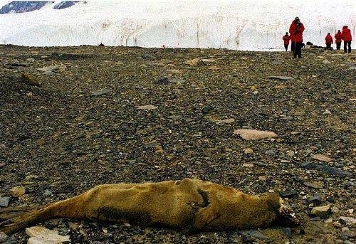 Dünya ile ilgili bilmediğiniz 50 gerçek 45