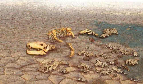 Dünya ile ilgili bilmediğiniz 50 gerçek 46