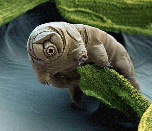 Dünya ile ilgili bilmediğiniz 50 gerçek 7