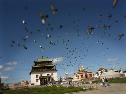 Bedelli geliriyle ne alınabilir? 71