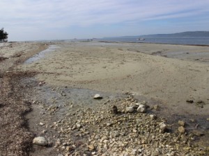 Denizde korkutan manzara