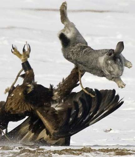 İşte gerçek Kartal pençesi