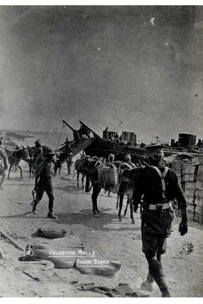 Fotoğraflarla 'Çanakkale Destanı' 86