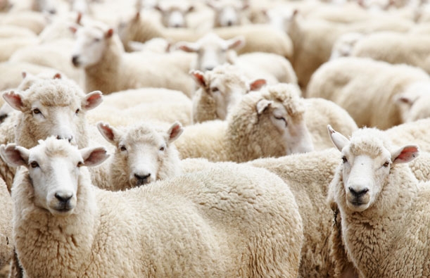 2014'te kaç gün tatil yapacağız? 8