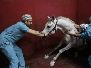 Veliefendi'nin görünmeyen yüzü