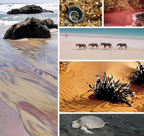 Dünyanın en sıradışı plajları 29