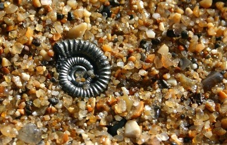 Dünyanın en sıradışı plajları 35