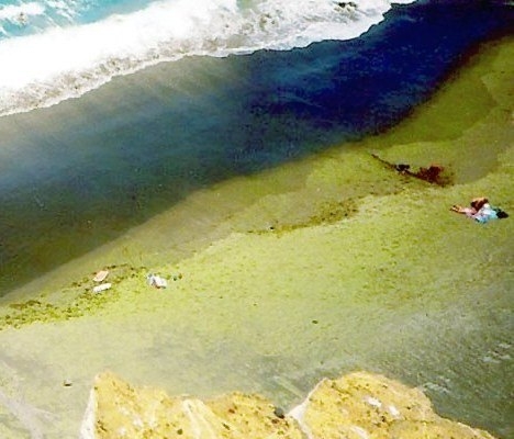 Dünyanın en sıradışı plajları 37