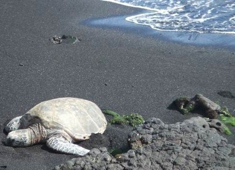 Dünyanın en sıradışı plajları 44