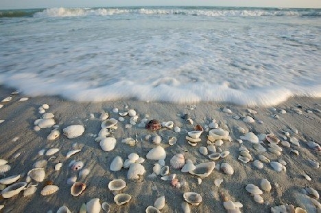 Dünyanın en sıradışı plajları 50