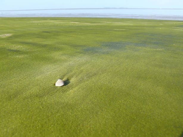 Dünyanın en sıradışı plajları 8